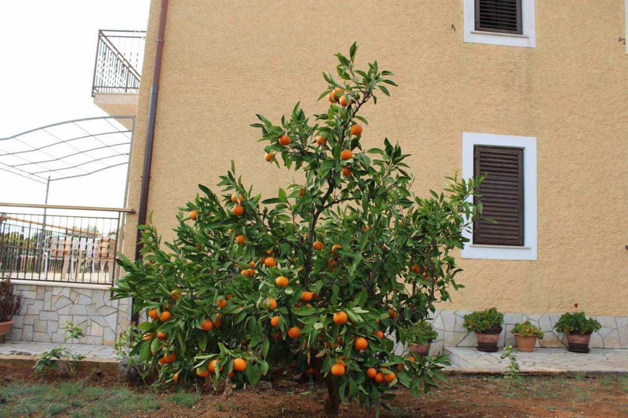 Lily'S Lovely Apartments Фажана Екстер'єр фото